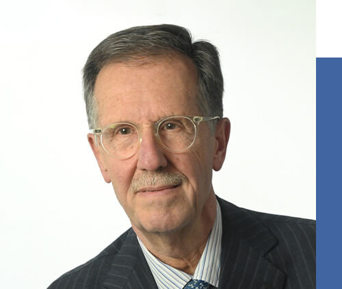 Carlo Viola - Vice Presidente del Comitato Scientifico